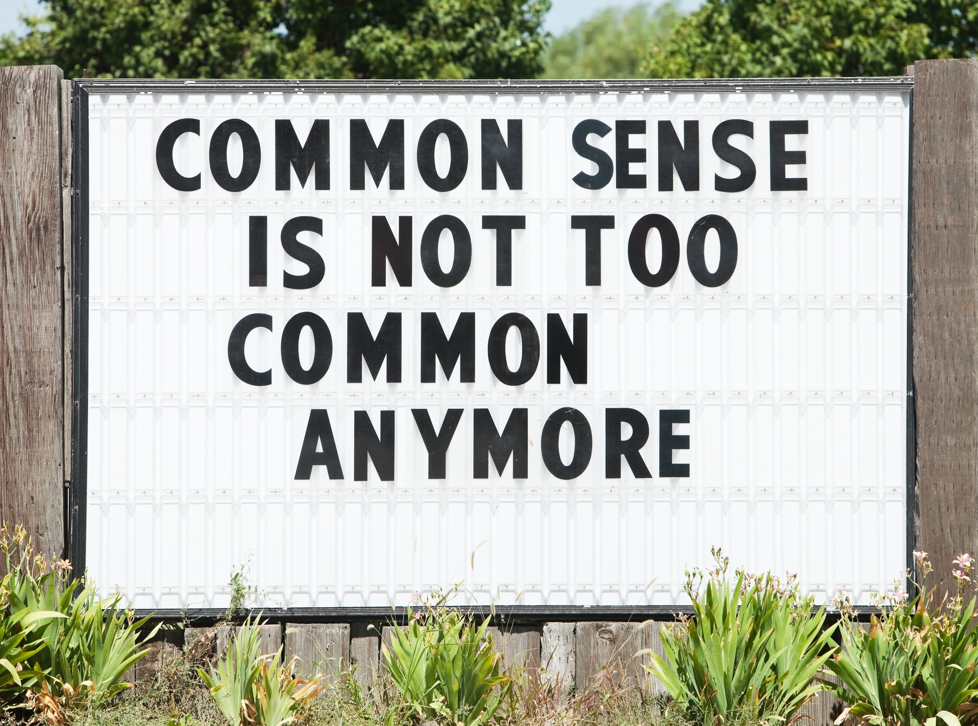 Common sense перевод